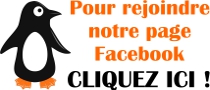 Facebook Température Idéale