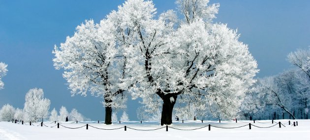 Extérieur Conseils extérieur