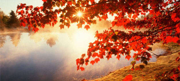 Santé Conseils automne