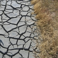 Quels sont les critères amenant à déclarer l'état de sécheresse ?